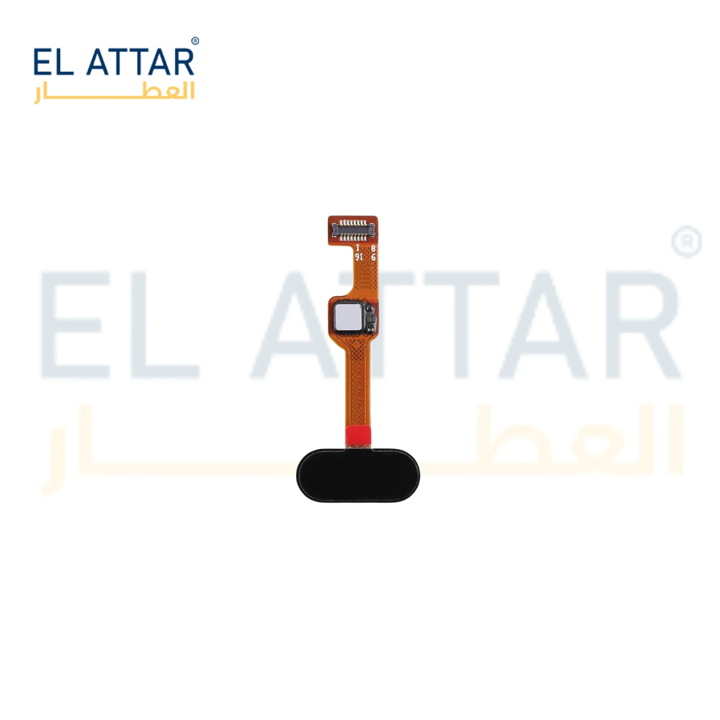 منتج