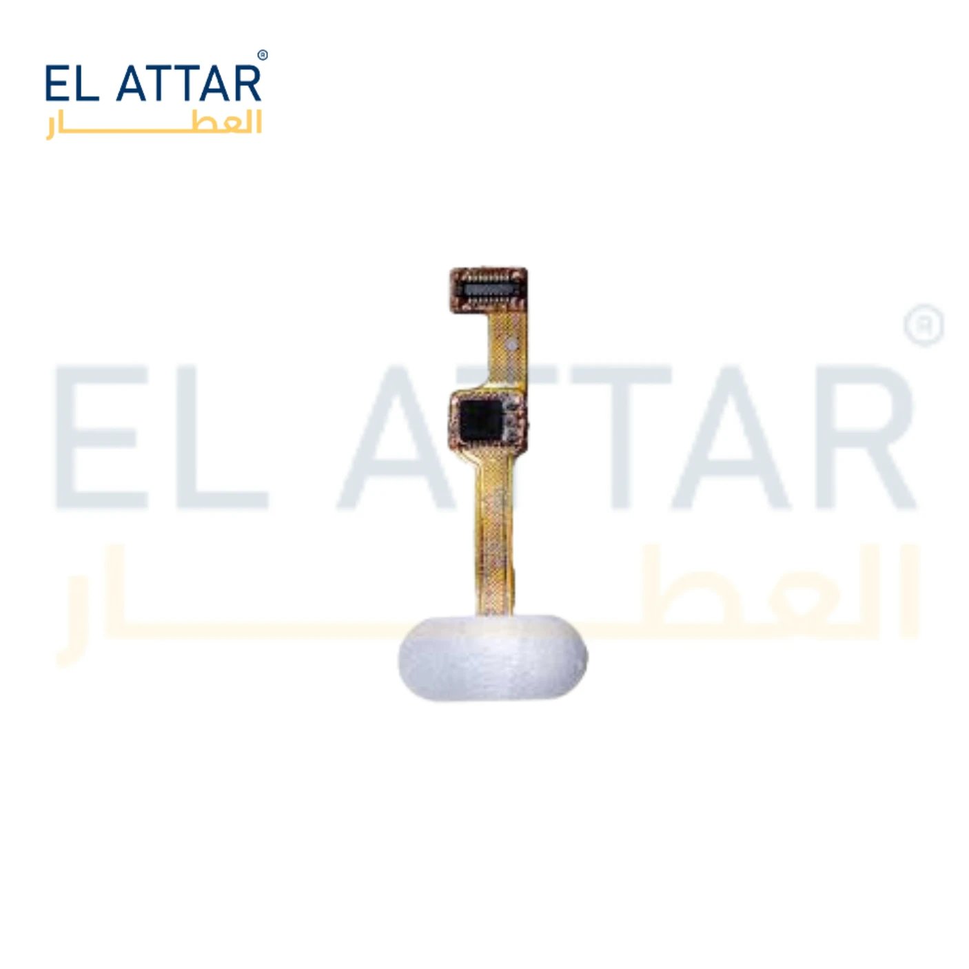 منتج